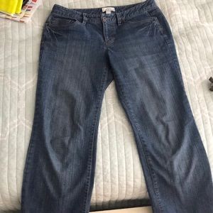 Loft Bootleg Jeans